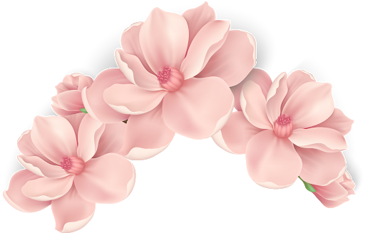 Download PNG image - Pink Flower Vector Art PNG 