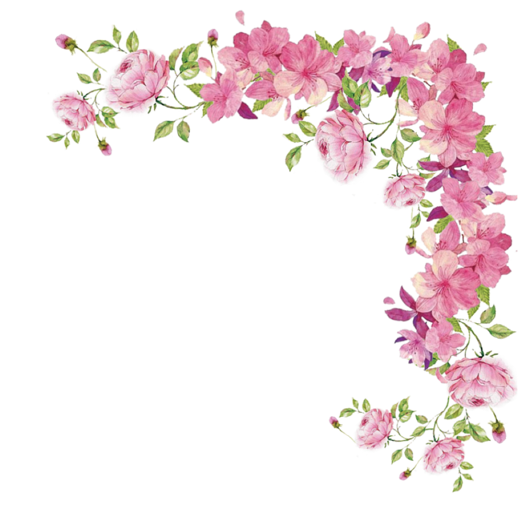 Download PNG image - Pink Flowers Border PNG 