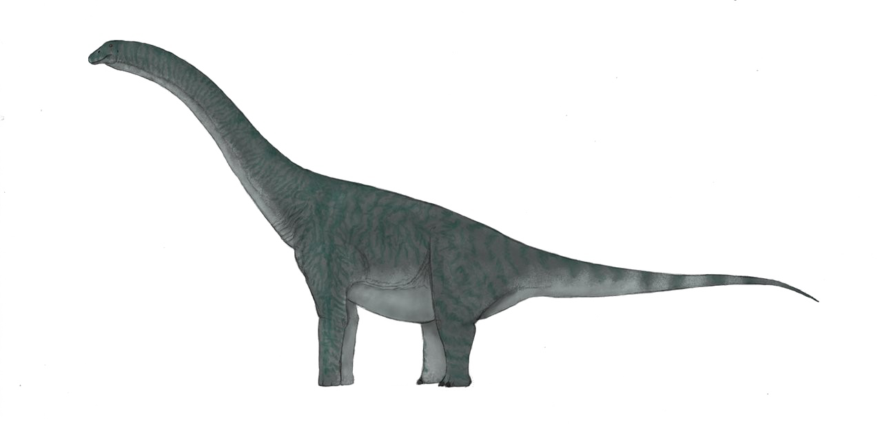Download PNG image - Sauropod Background PNG 