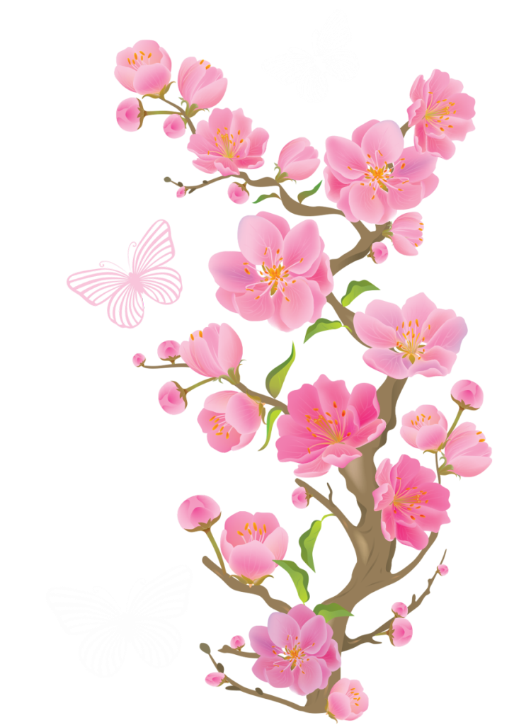 Download PNG image - Spring Blossom PNG Clipart 