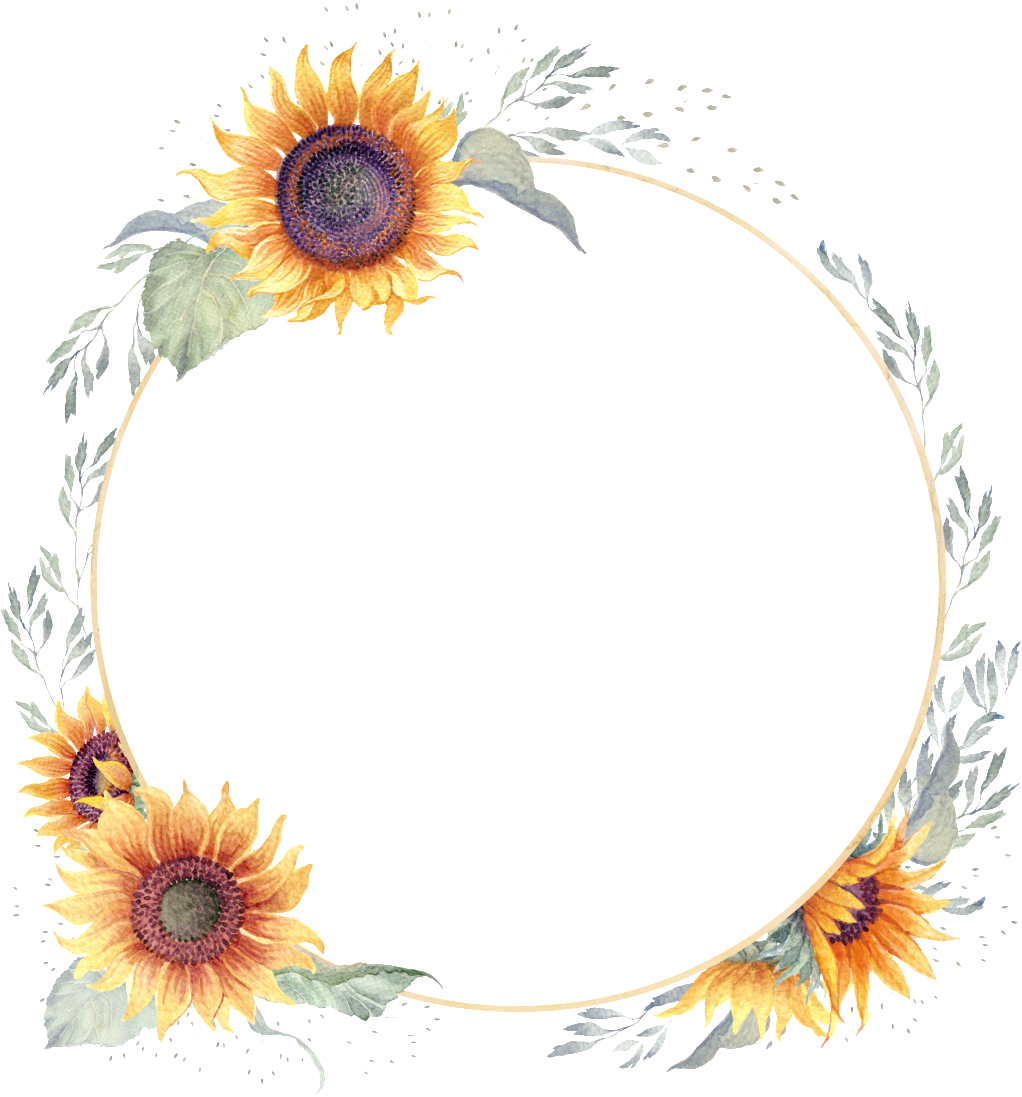 Download PNG image - Sunflower Border PNG Isolated Transparent 