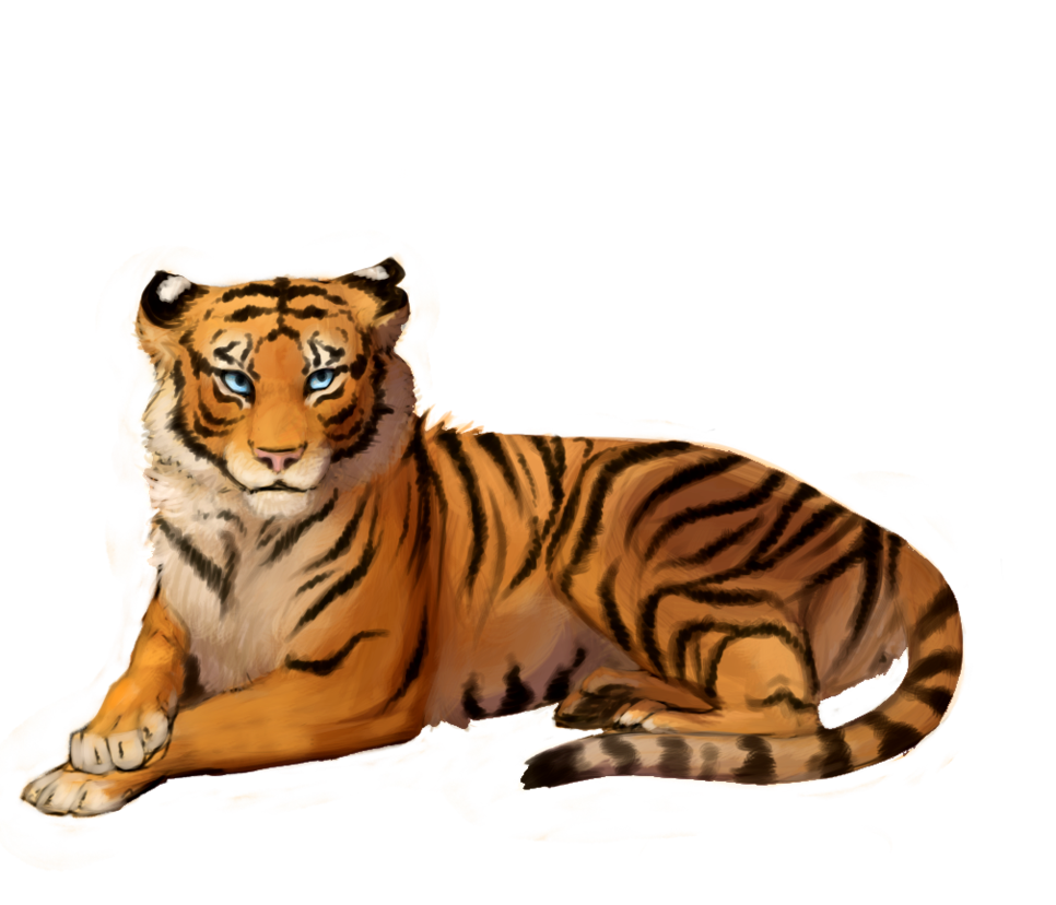 Download PNG image - Tiger PNG Picture 