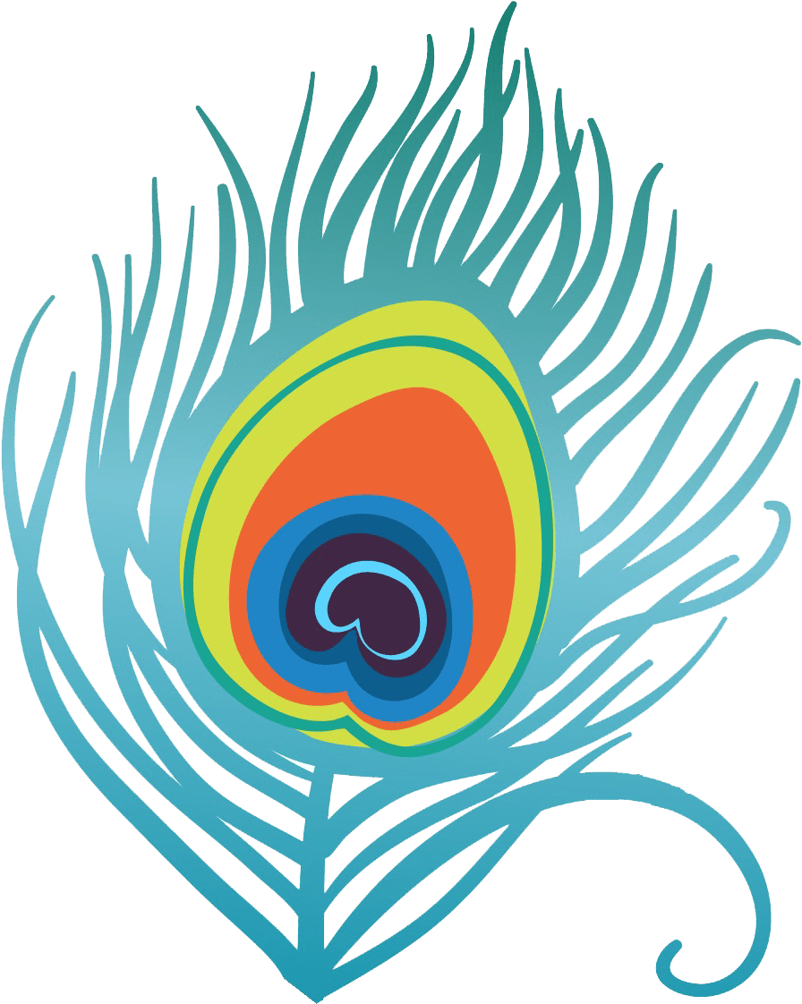 Download PNG image - Vector Peacock Feather PNG File 