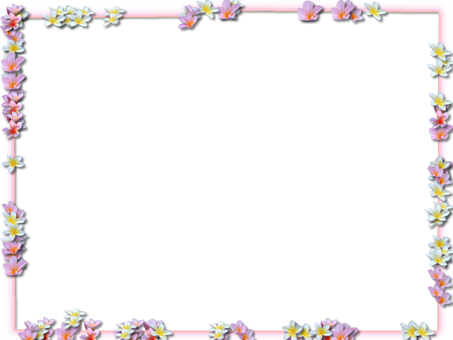 Download PNG image - Vector Square Flower Border Frame PNG Image 
