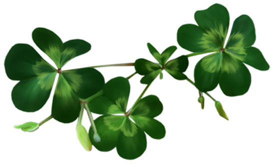 Download PNG image - Watercolor Clover PNG Photos 