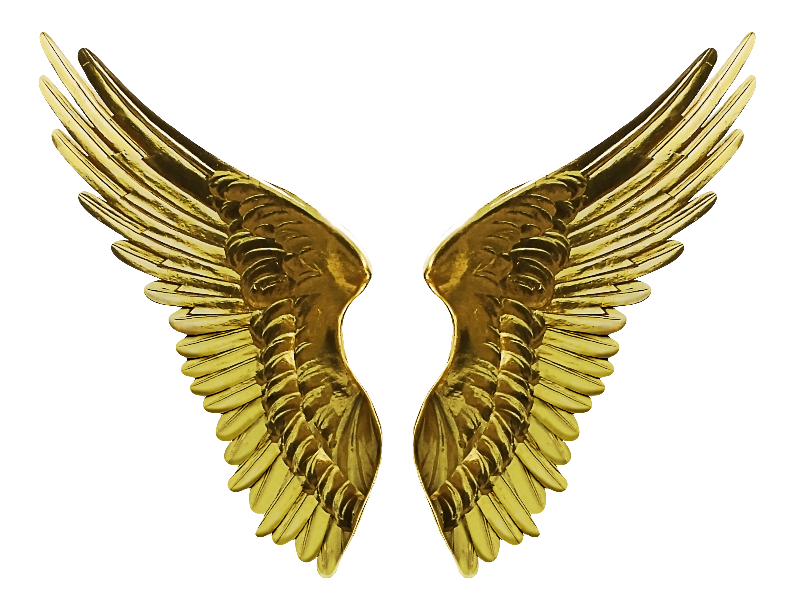 Download PNG image - Angel Wings Transparent PNG 