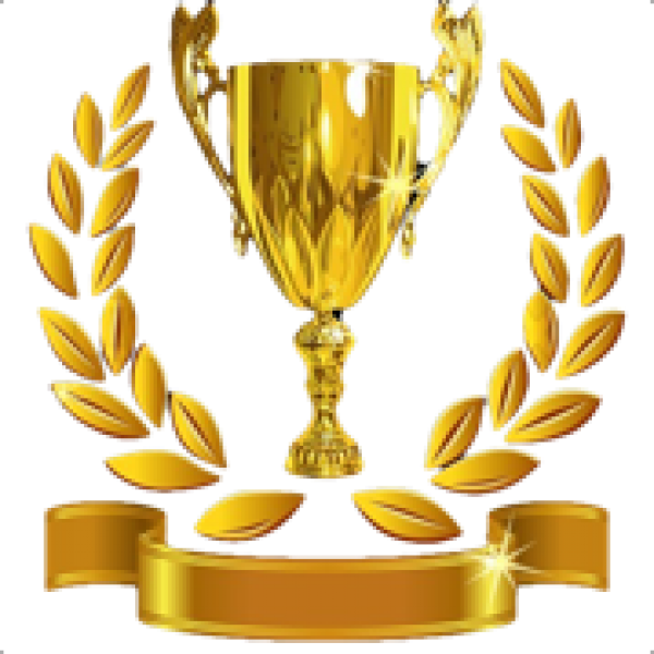 Download PNG image - Champion Golden Cup PNG File 
