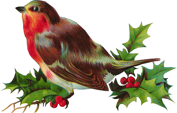 Download PNG image - Christmas Bird PNG File 