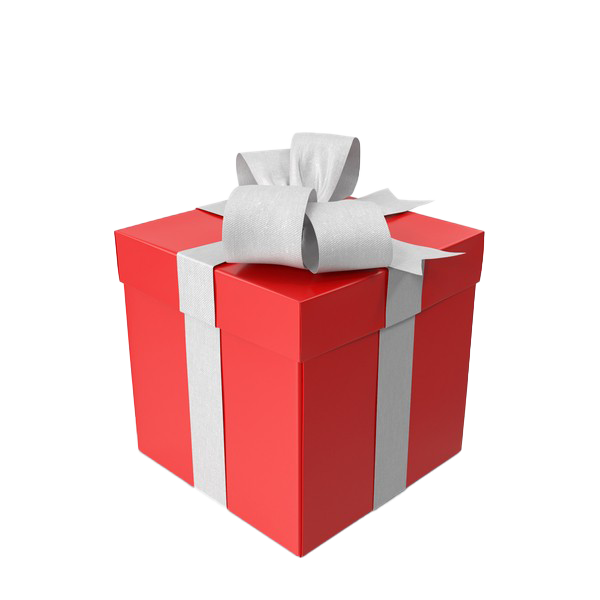 Download PNG image - Christmas Present PNG Photo 
