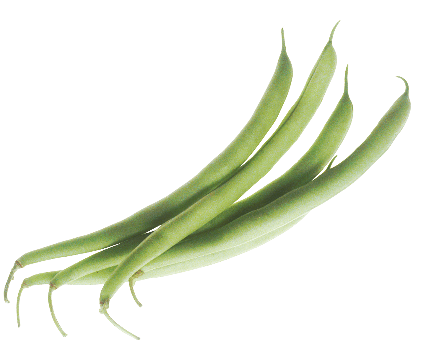 Download PNG image - Green Beans Vegetable Transparent PNG 