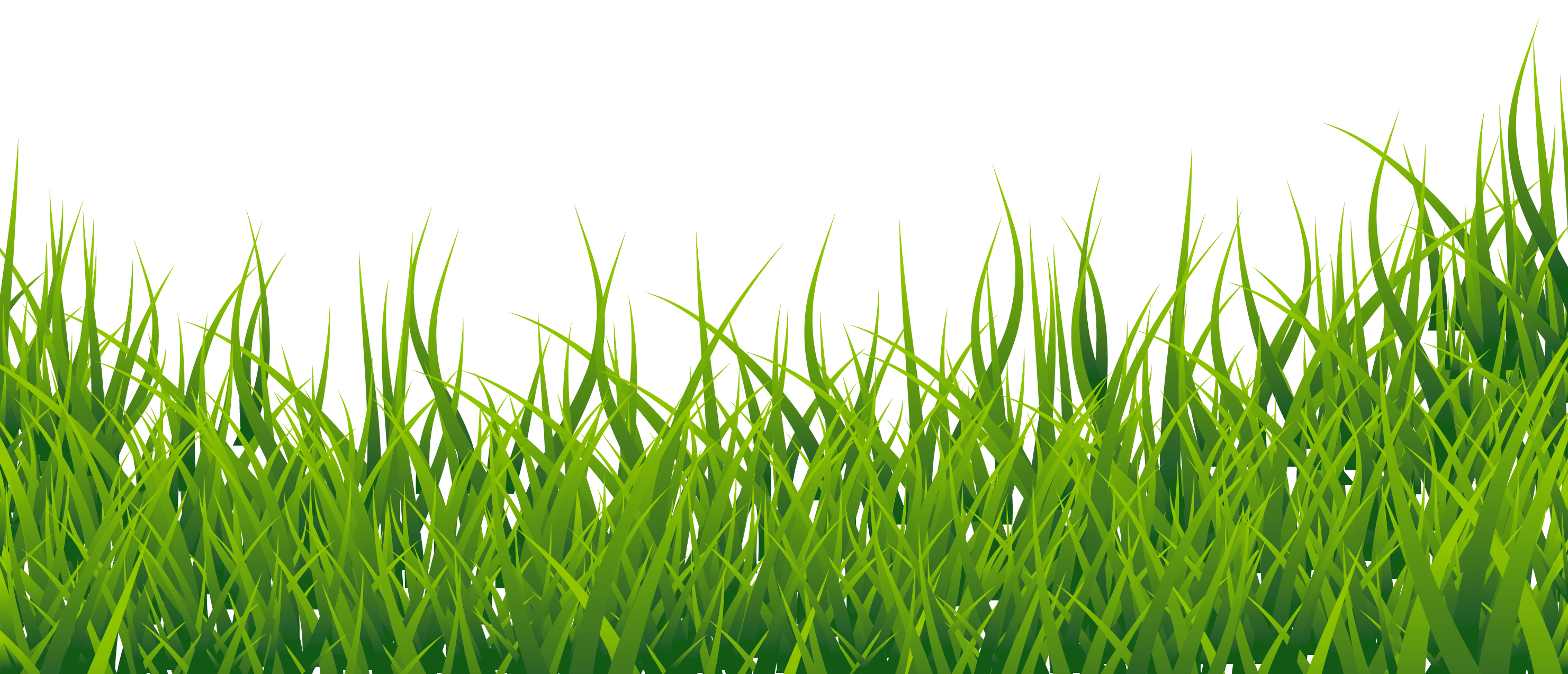 Download PNG image - Green Grass Vector PNG File 