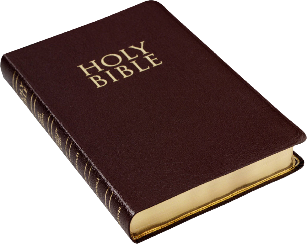 Download PNG image - Holy Bible Transparent PNG 