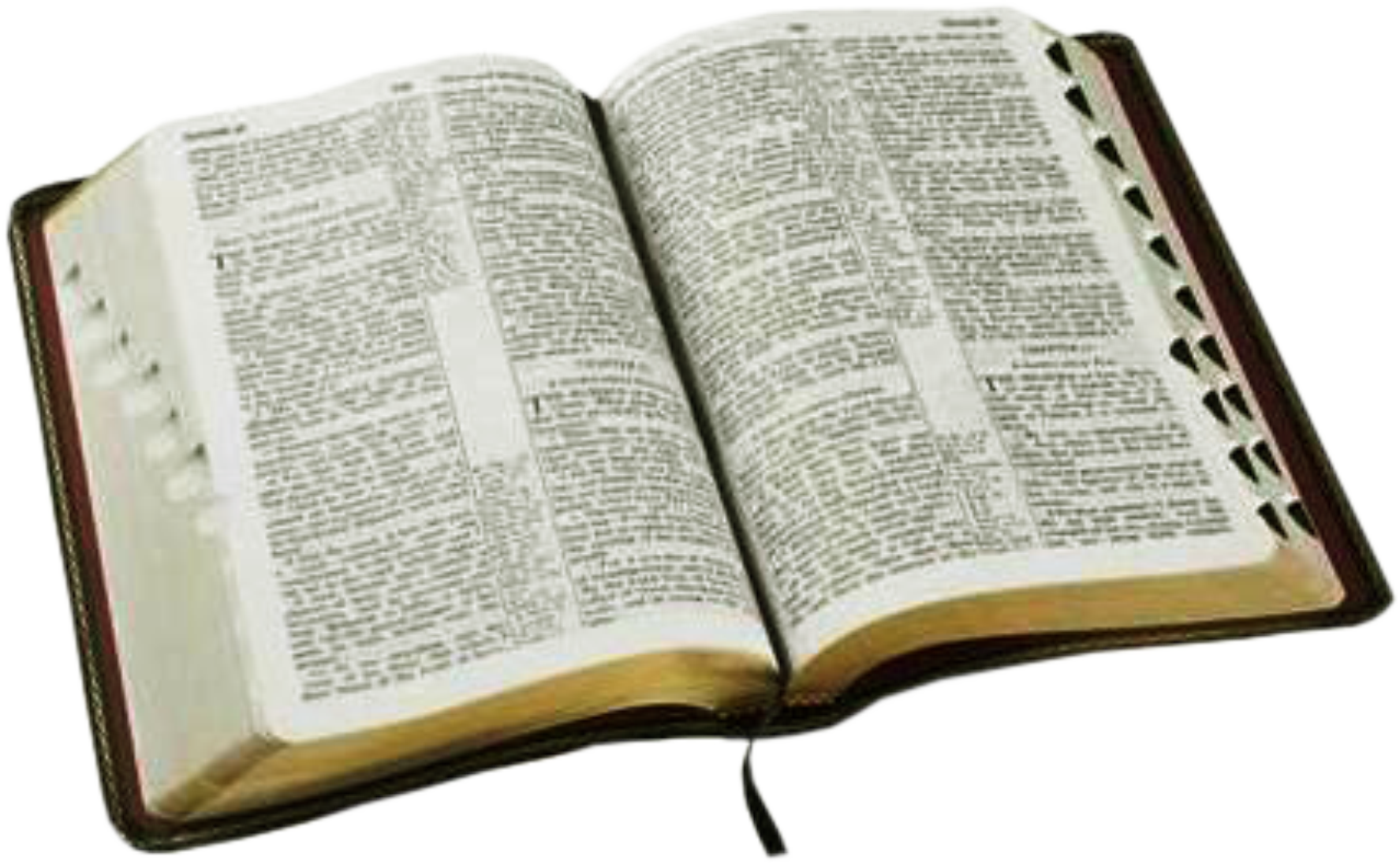 Download PNG image - Open Holy Bible PNG File 
