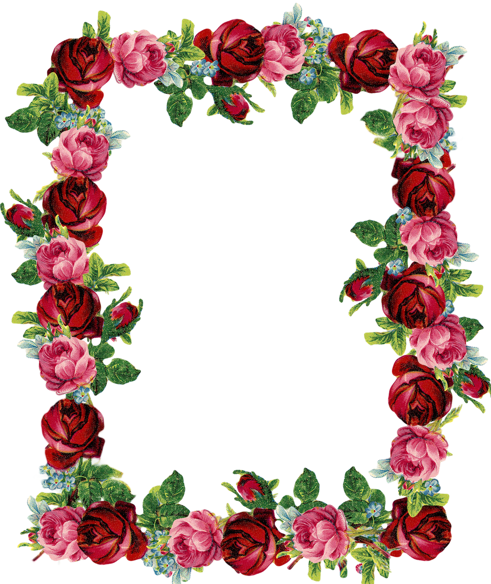 Download PNG image - Rose Floral Border PNG Clipart 