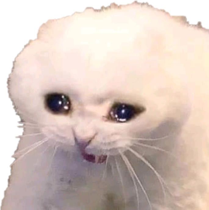 Download PNG image - Sad Cat Memes PNG Isolated Pic 
