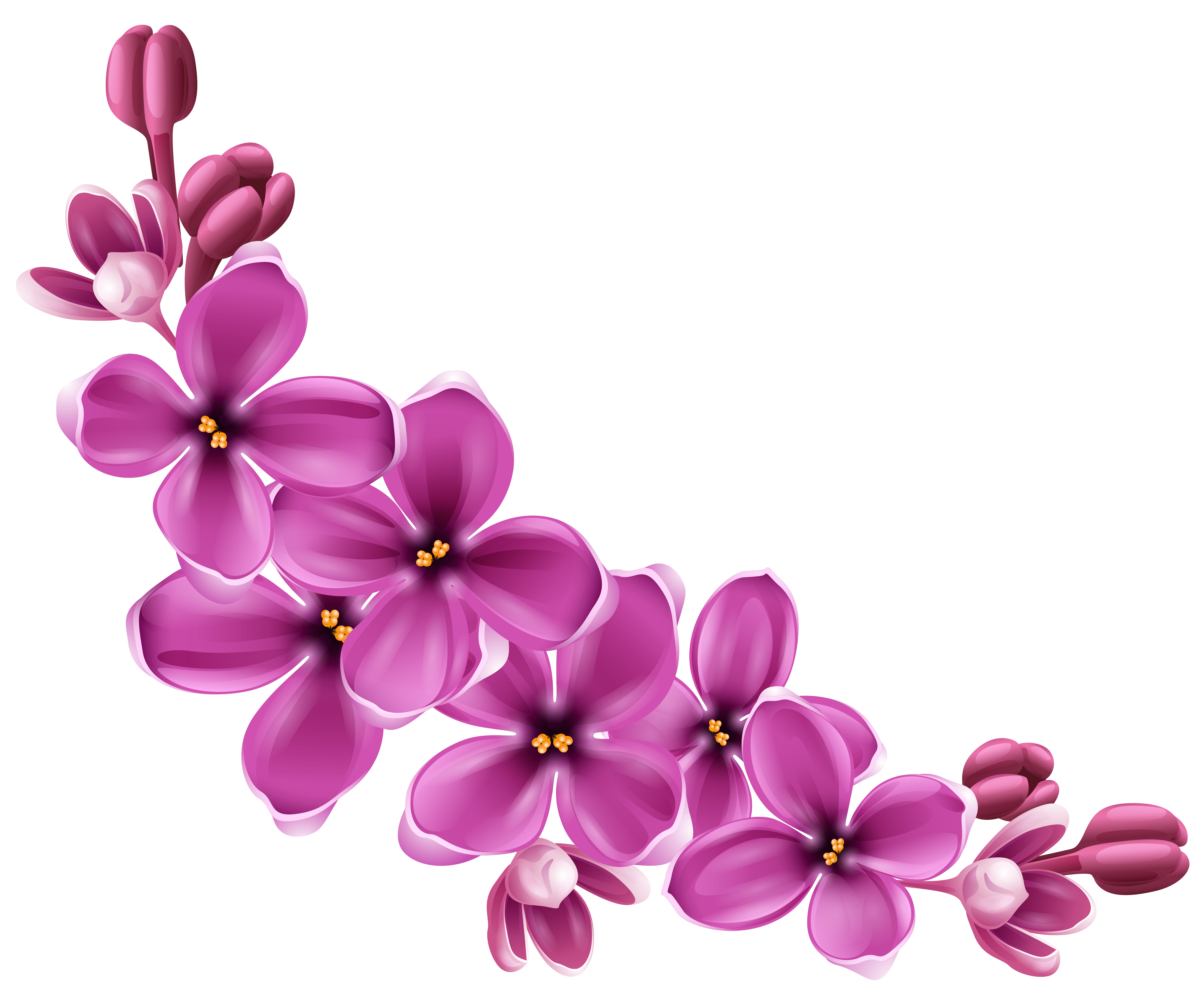 Download PNG image - Spring Blossom Flower PNG Transparent Image 