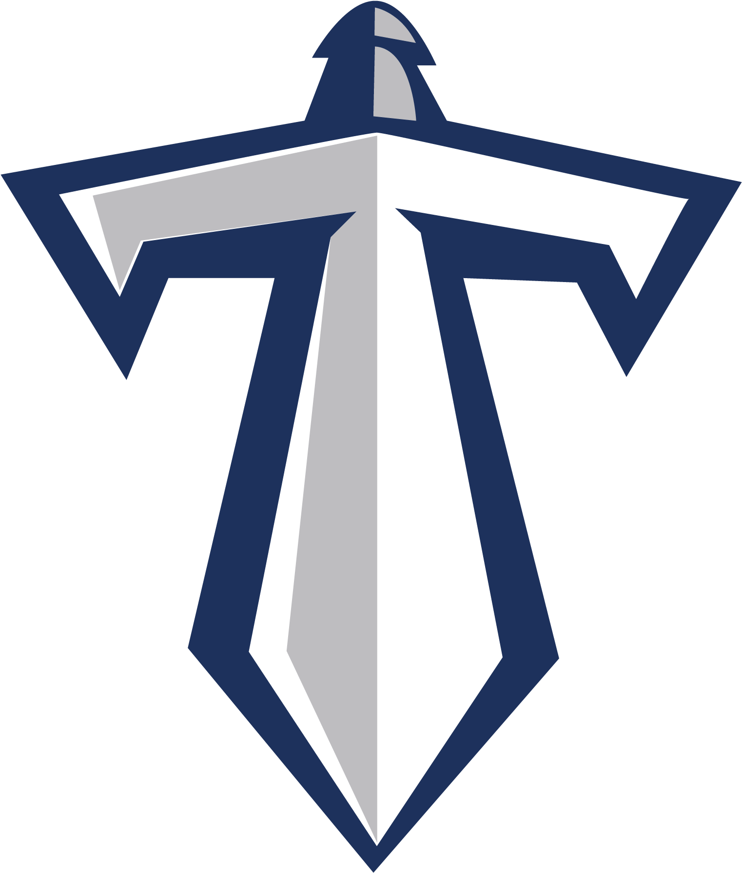 Download PNG image - Tennessee Titans PNG Transparent Image 