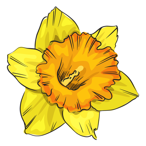 Download PNG image - Yellow Daffodil PNG Isolated Clipart 