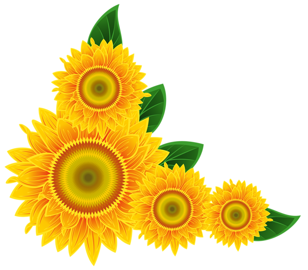 Download PNG image - Aesthetic Sunflower PNG Isolated Picture 