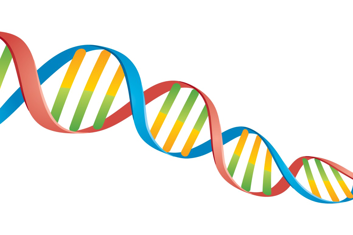 Download PNG image - DNA PNG Transparent Image 
