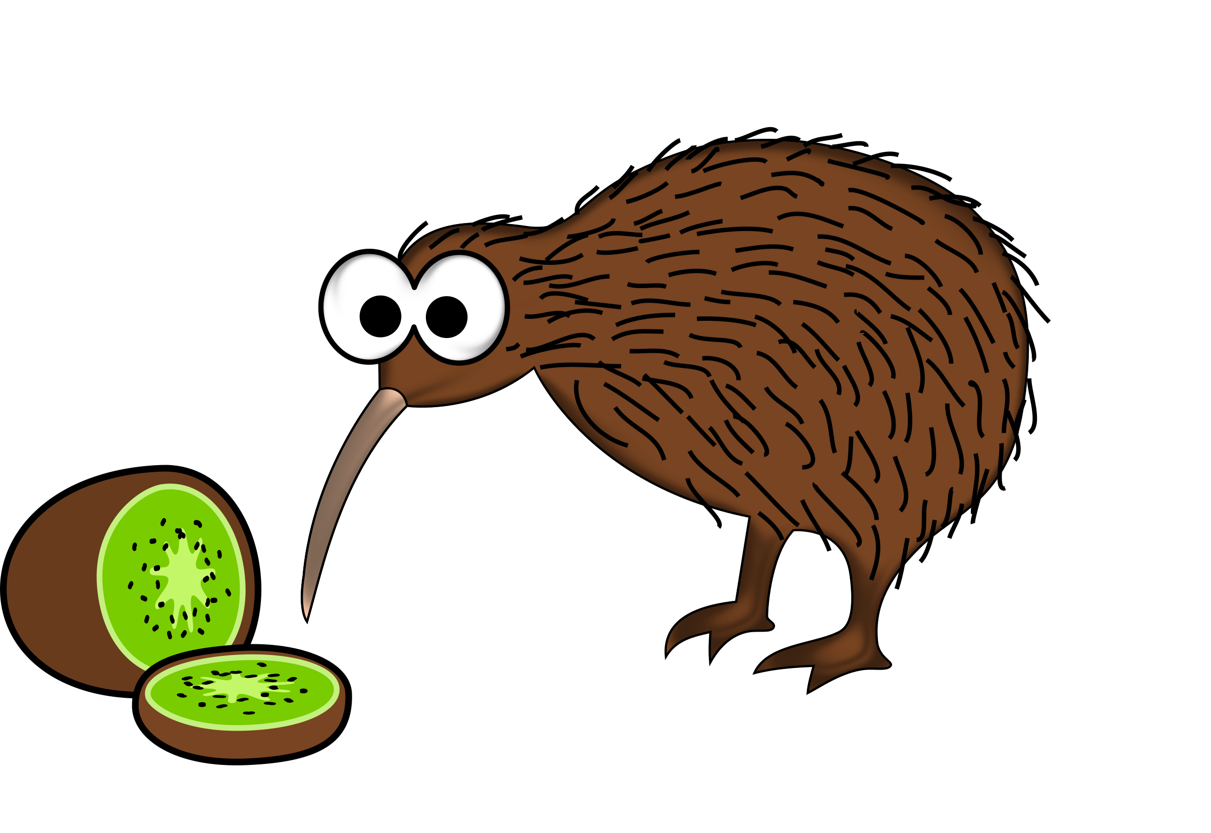 Download PNG image - Kiwi Bird PNG File 