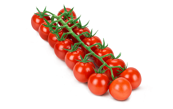 Download PNG image - Organic Fresh Tomatoes Bunch PNG Clipart 