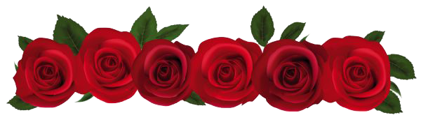 Download PNG image - Red Rose PNG File 