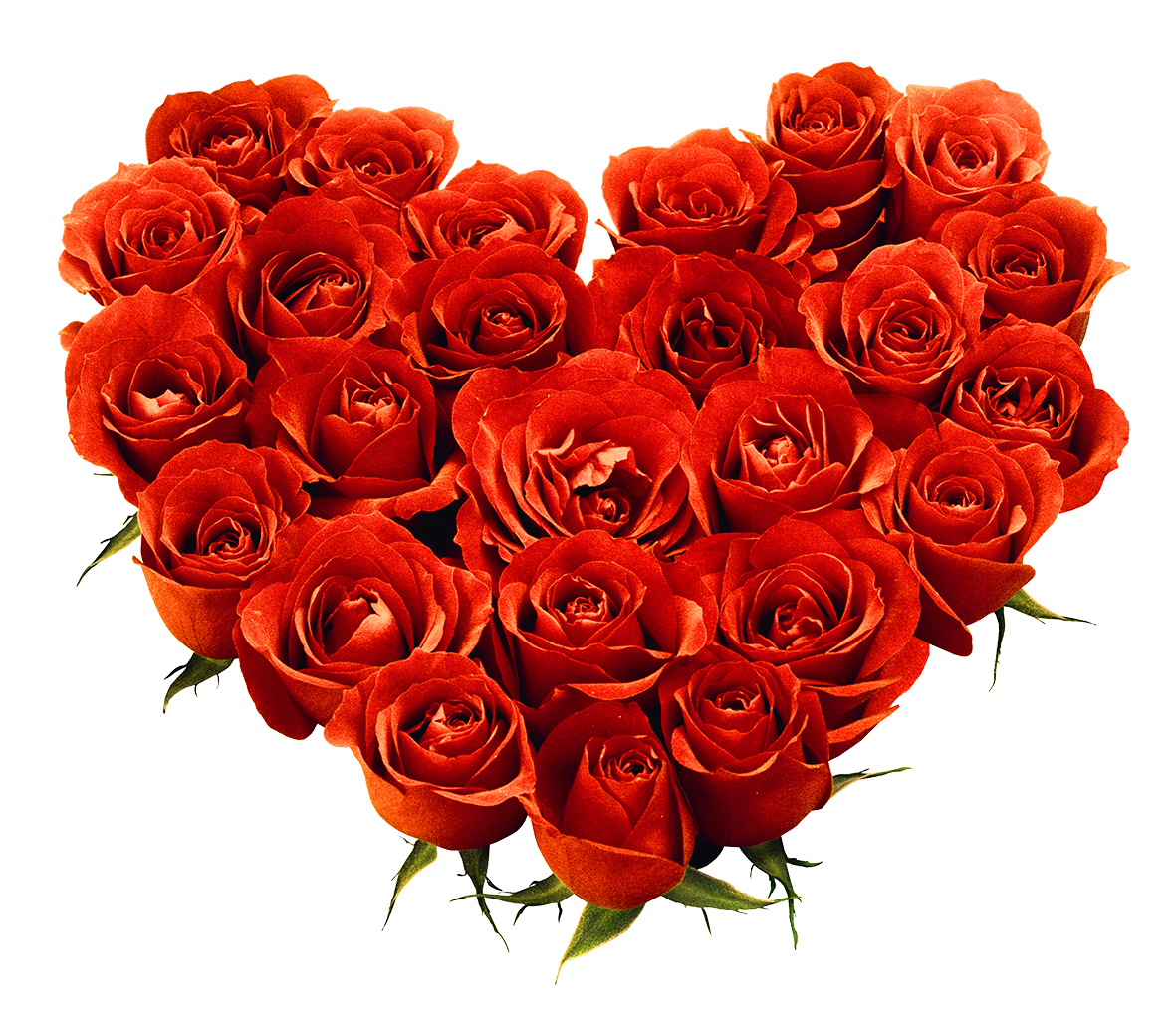 Download PNG image - Rose Flower Bouquet Transparent Background 
