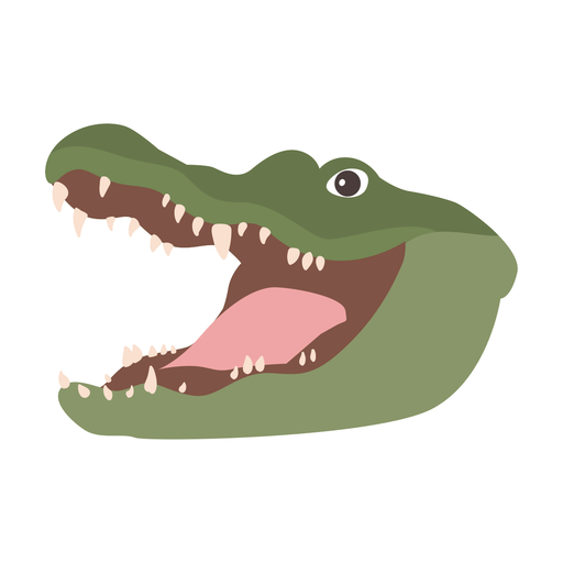 Download PNG image - Vector Alligator Transparent Images PNG 
