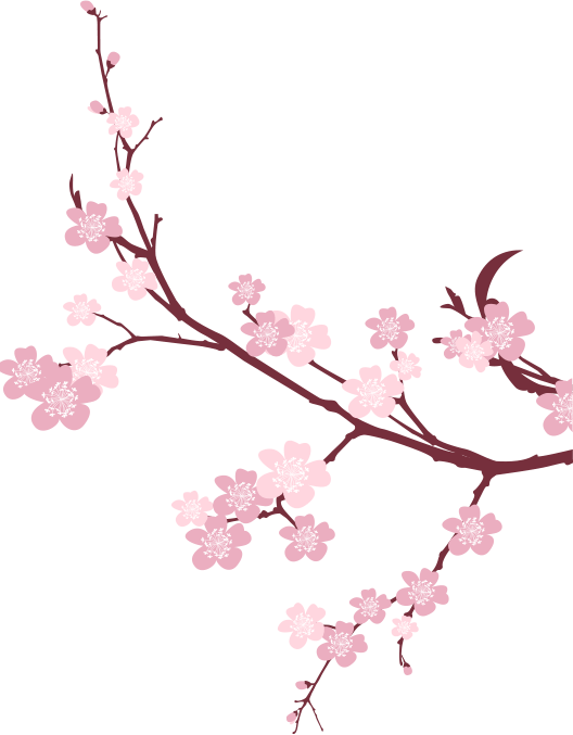Download PNG image - Japanese Flowering Cherry PNG Picture 
