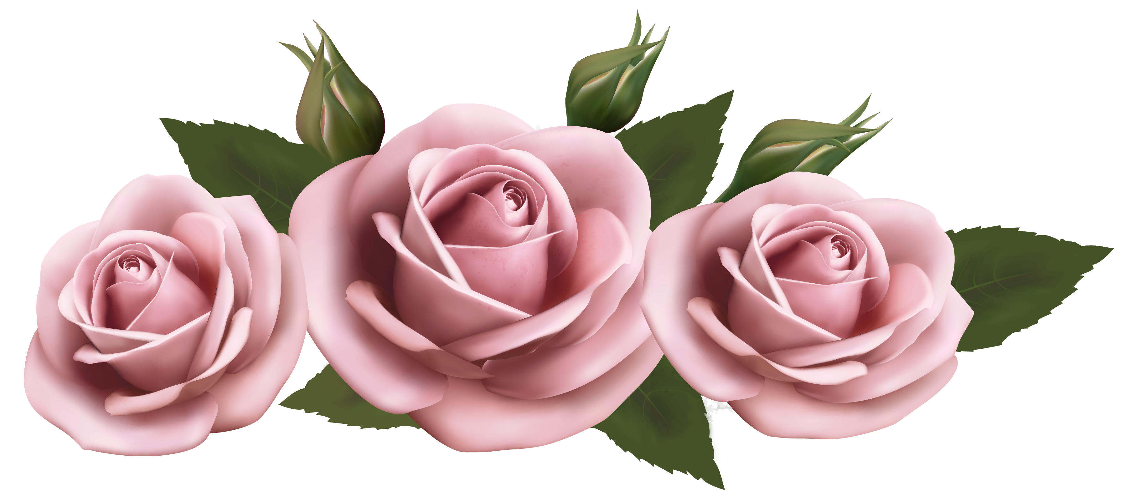 Download PNG image - Pink Rose Flower PNG Pic 