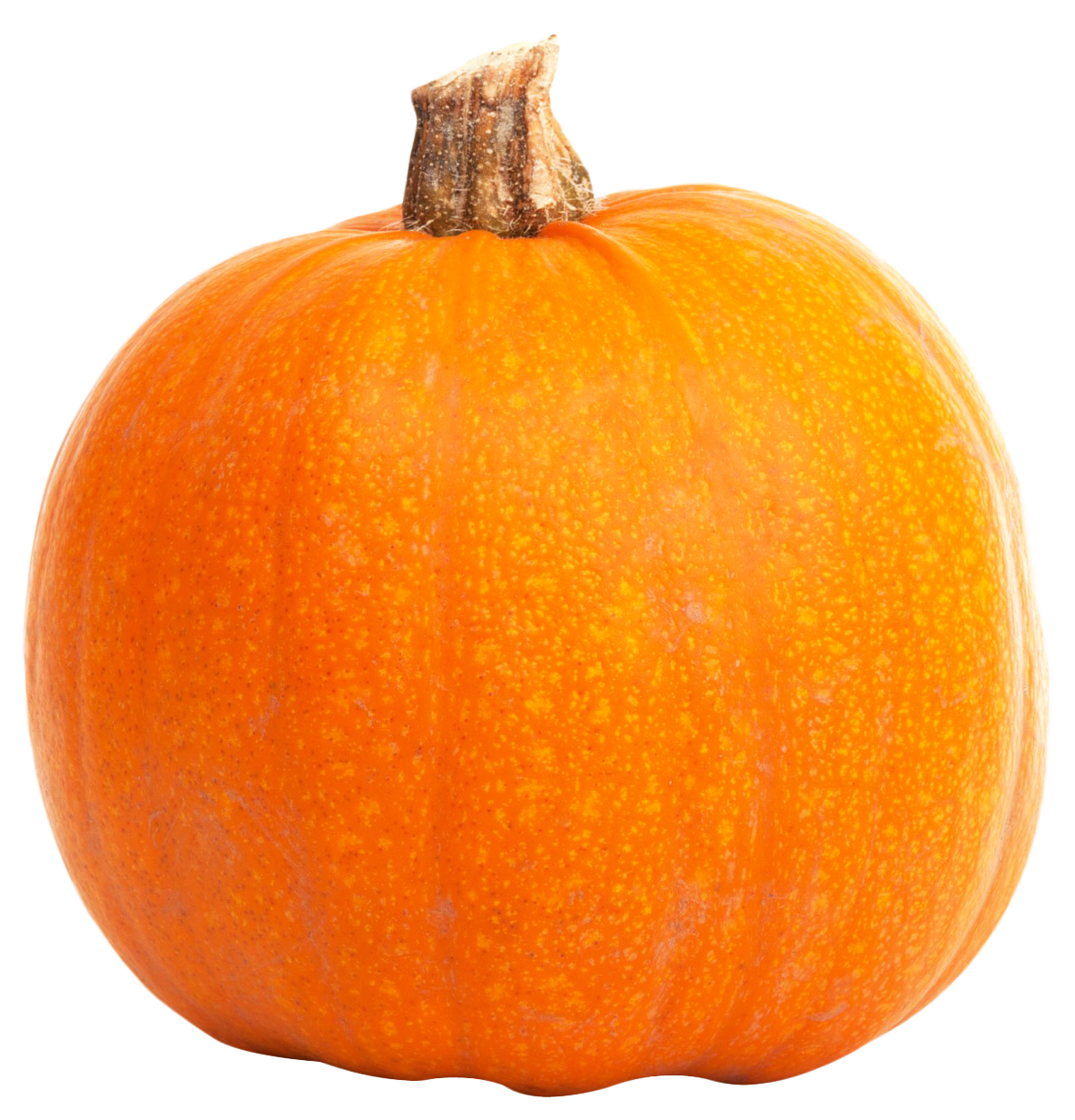 Download PNG image - Real Pumpkin PNG File 