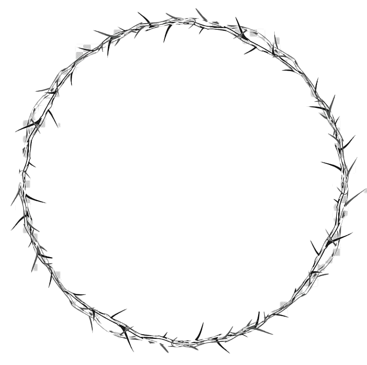 Download PNG image - Thorns Crown PNG HD 