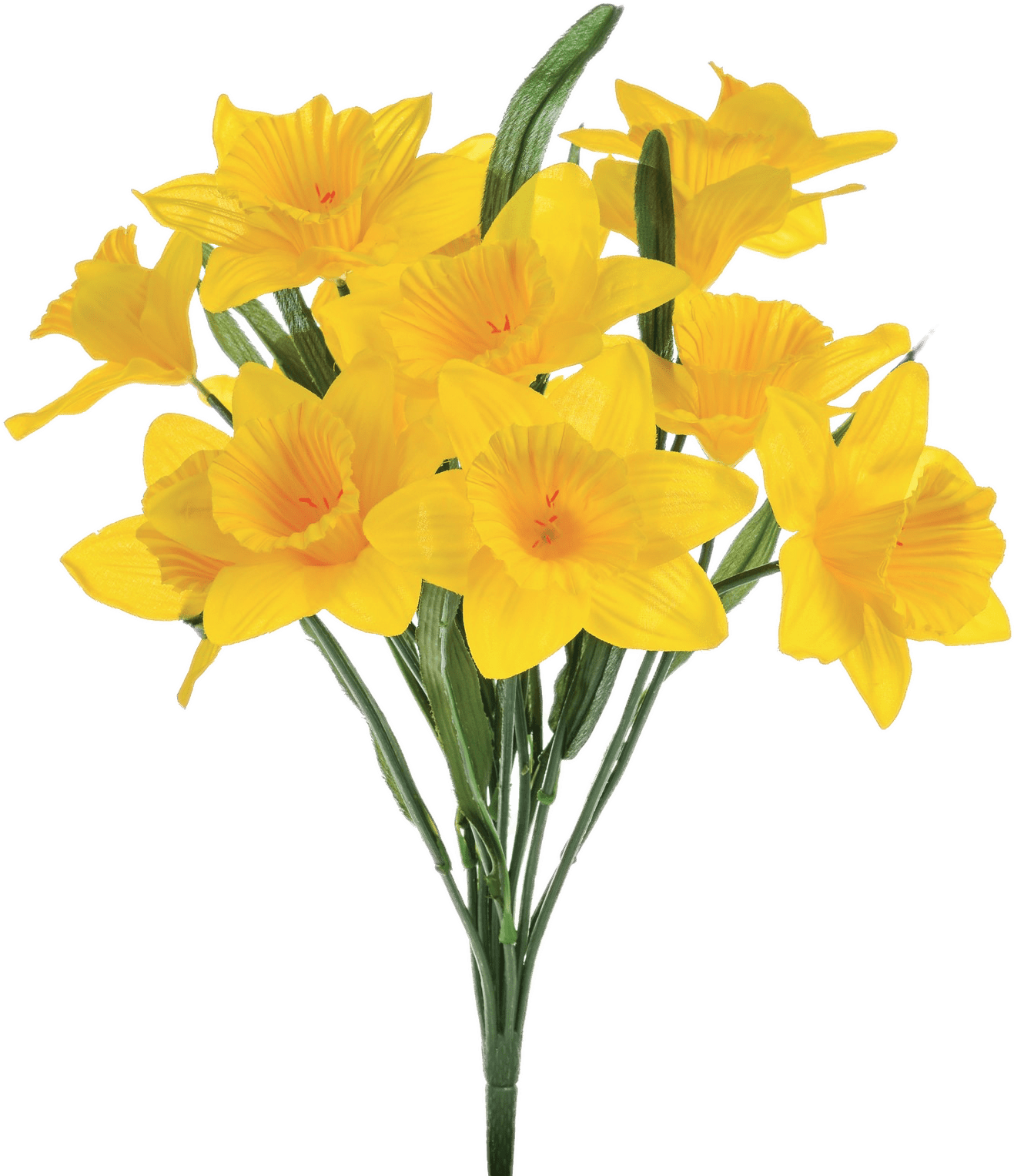 Download PNG image - Yellow Daffodil PNG Pic 
