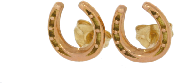 Download PNG image - Gold Horseshoe PNG Photos 