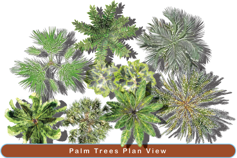 Download PNG image - Landscaping PNG Clipart 