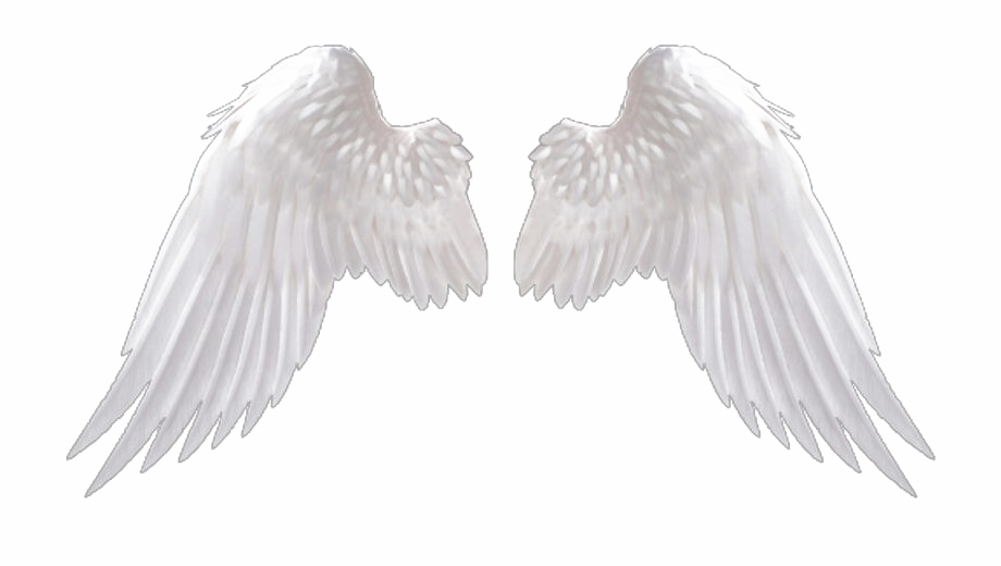 Download PNG image - Realistic Angel Wings PNG File 