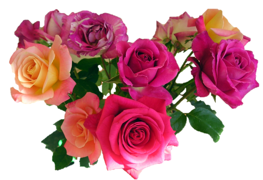 Download PNG image - Rose Bouquet Transparent Background 