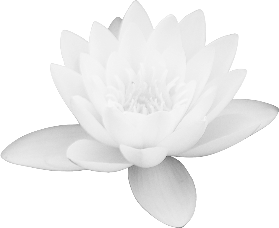 Download PNG image - Vector Lotus Flower PNG File 