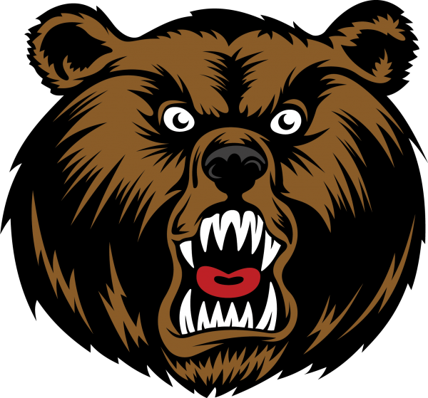 Download PNG image - Angry Bear PNG Photo 