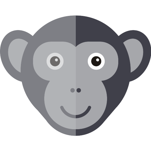 Download PNG image - Animal Monkey PNG Isolated HD 