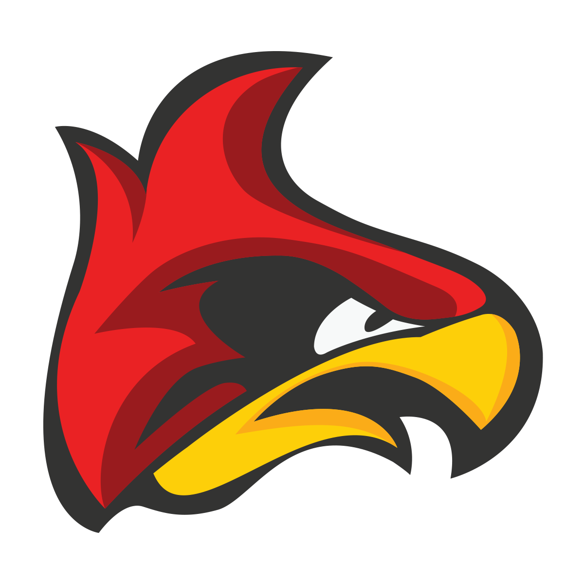 Download PNG image - Arizona Cardinals PNG HD 
