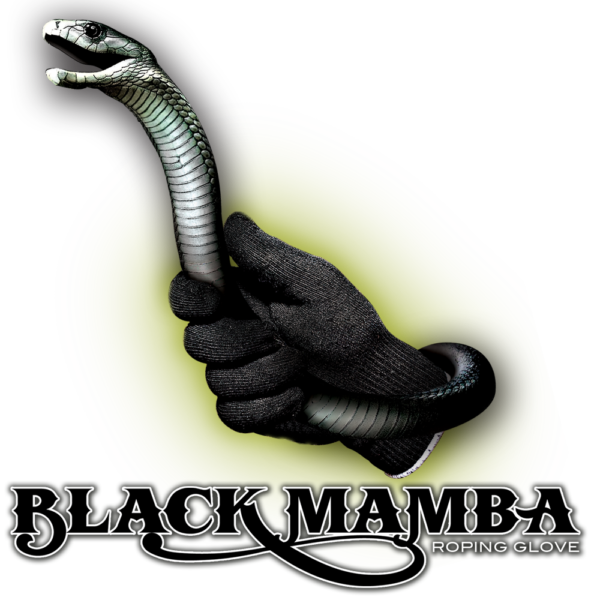 Download PNG image - Black Mamba PNG Image 