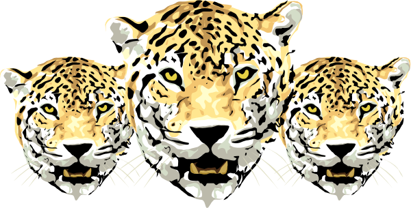 Download PNG image - Leopards PNG Pic 