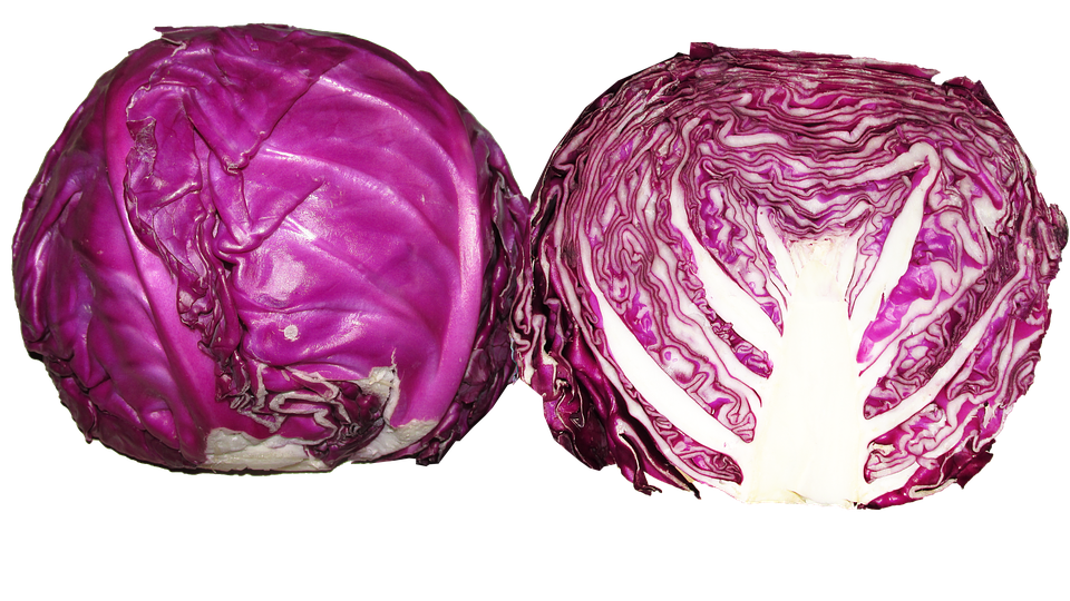 Download PNG image - Red cabbage PNG Photos 