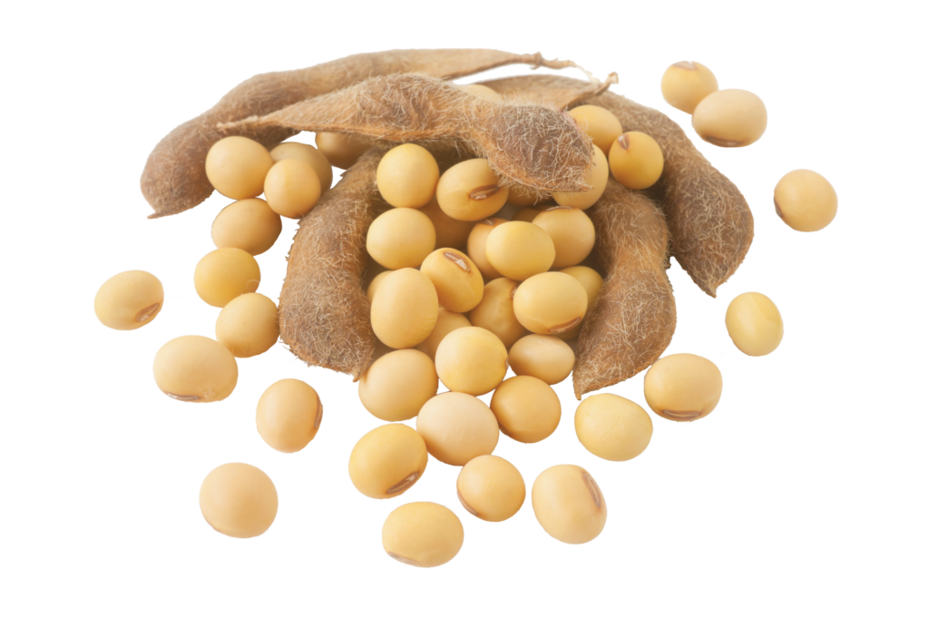 Download PNG image - Soybeans PNG Isolated Pic 