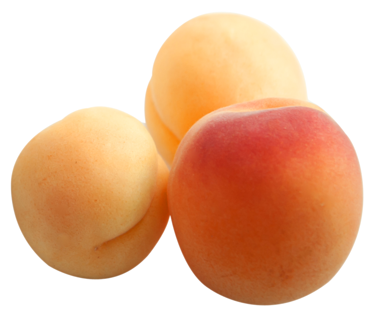Download PNG image - Apricot Fruit Download PNG Image 