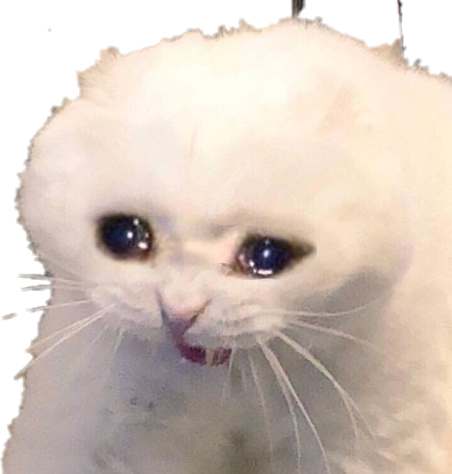 Download PNG image - Crying Cat Meme PNG Isolated Image 
