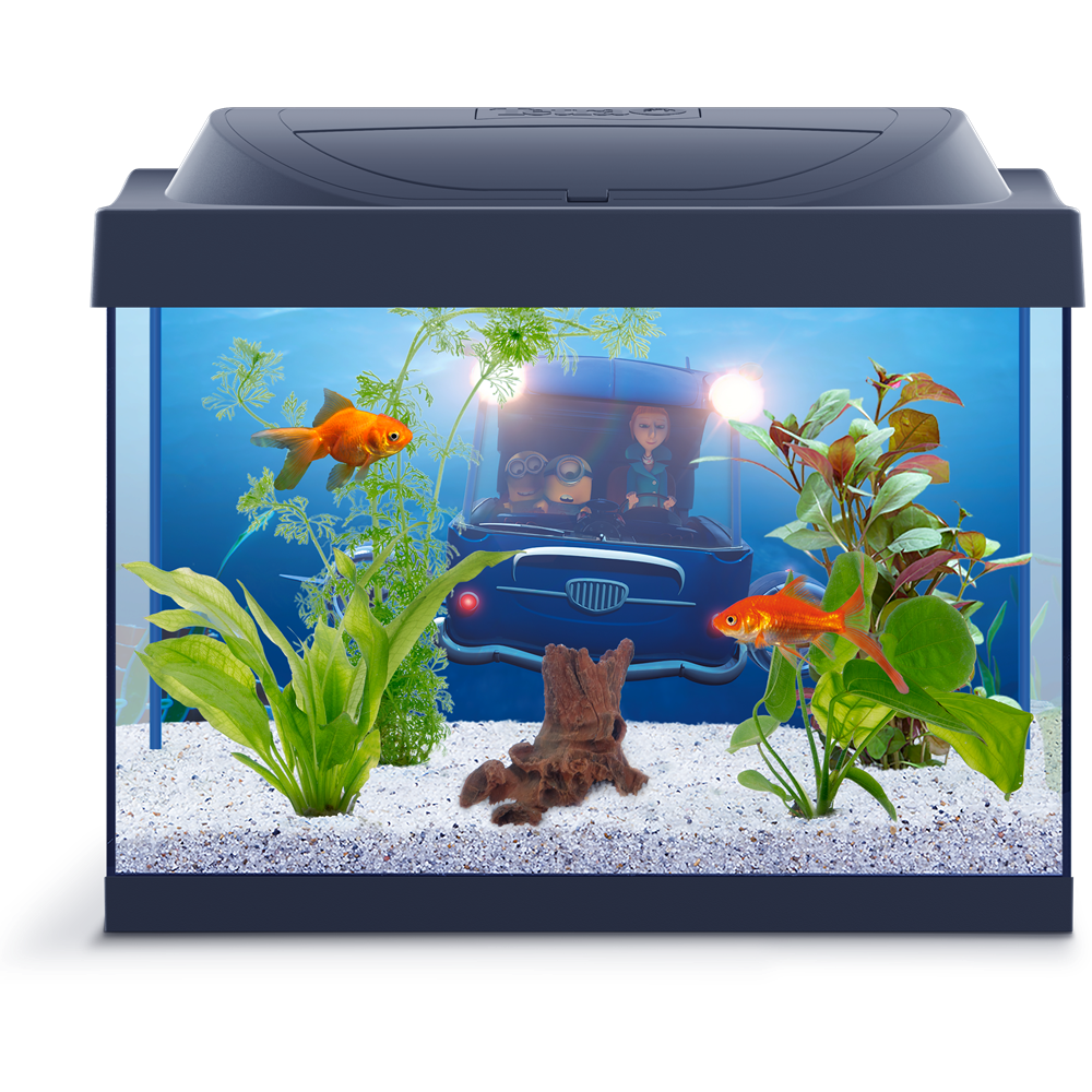 Download PNG image - Fish Tank Transparent PNG 