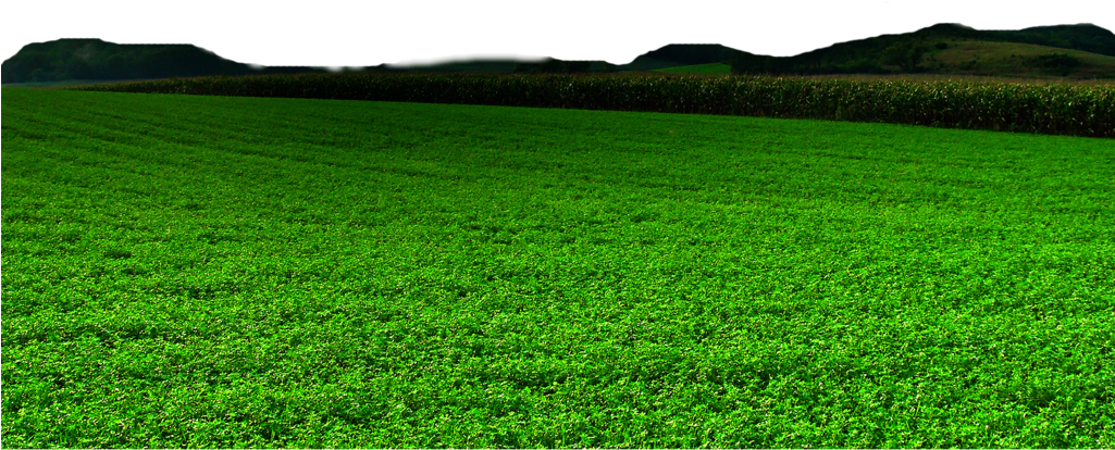 Download PNG image - Landscape Grass Field PNG Image 